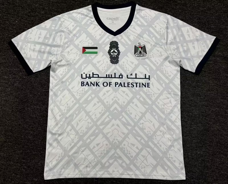AAA Quality Palestine 24/25 White/Light Grey Training Jersey
